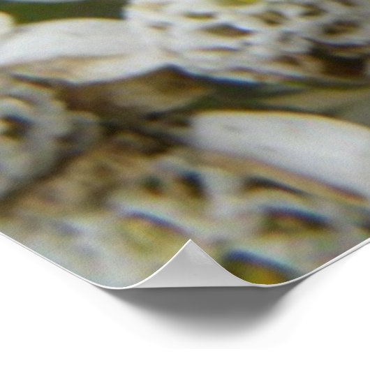 Honigbiene und Blume Poster (Ecke)