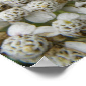 Honigbiene und Blume Poster (Ecke)
