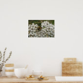 Honigbiene und Blume Poster (Küche)
