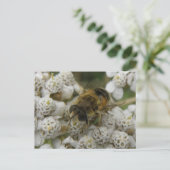 Honigbiene und Blume Postkarte (Stehend Vorderseite)