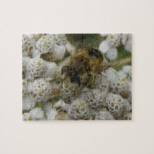 Honigbiene und Blume Puzzle
