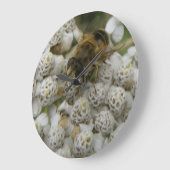 Honigbiene und Blume Uhr (Winkel)