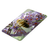 Honigbiene und Buddleia-Blume Flexi Magnet (Linke Seite)