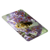 Honigbiene und Buddleia-Blume Flexi Magnet (Rechte Seite)