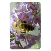 Honigbiene und Buddleia-Blume Flexi Magnet (Vertikal)