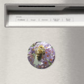 Honigbiene und Buddleia Blume Magnet (In Situ (Geschirrspüler))