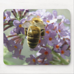 Honigbiene und Buddleia-Blume Mousepad