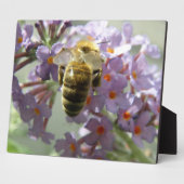 Honigbiene und Buddleia Blume Plaque Fotoplatte (Seite)