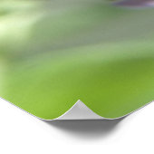 Honigbiene und Buddleia-Blume Print Poster (Ecke)