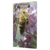 Honigbiene und Buddleia-Blume Zwischenablage Klemmbrett (Links)