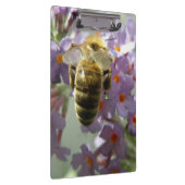 Honigbiene und Buddleia-Blume Zwischenablage Klemmbrett (Rechts)
