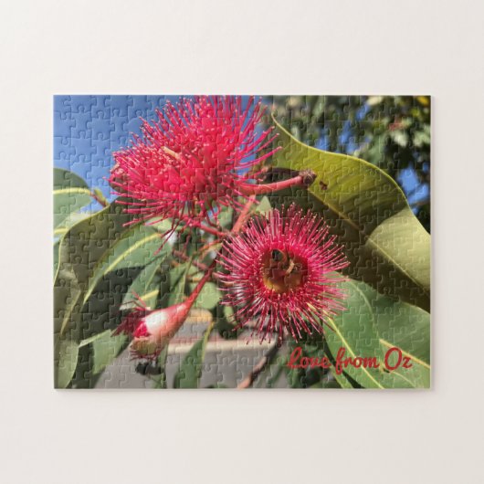 Honigbiene und Eukalyptus-Blume Puzzle (Horizontal)