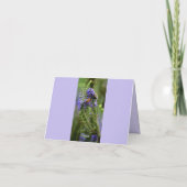 Honigbiene und Hummeln lila Blankokarte Dankeskarte (Rückseite)