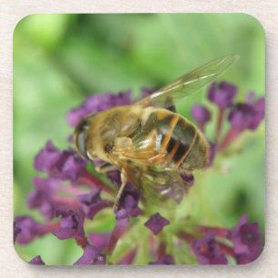 Honigbiene und Purple Flowers Cork Untersetzer