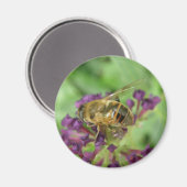 Honigbiene und Purple Flowers Magnet (Vorderseite/Rückseite)