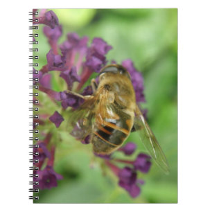 Honigbiene und Purple Flowers-Notebook Notizblock