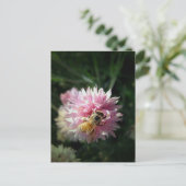 Honigbiene und rosa Blume Postkarte (Stehend Vorderseite)