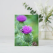 Honigbiene und Thistle Postkarte (Stehend Vorderseite)