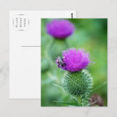 Honigbiene und Thistle Postkarte (Vorne/Hinten)