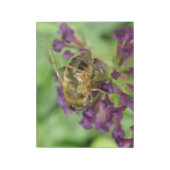Honigbiene und violette Blumen Notepad Notizblock (Rotiert)
