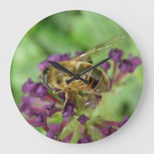 Honigbiene und violette Blütensäcke Große Wanduhr