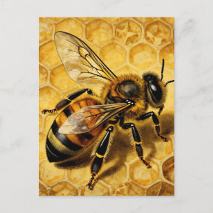 Honigbiene Waben Golden Natur Postkarte