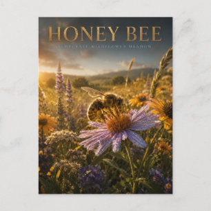 Honigbiene Wildblumenwiese TIER Postkarte