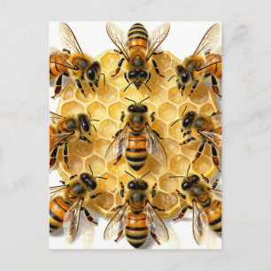 Honigbienen auf einem sechseckigen Honigwabenkreis Postkarte
