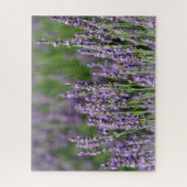 Honigbienen auf Lavendel-Blume Puzzle (Vertikal)