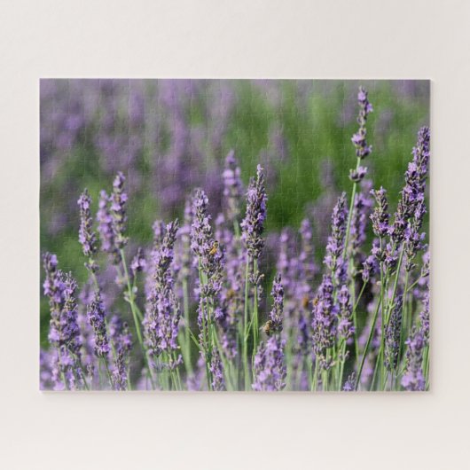 Honigbienen auf Lavendel-Blume Puzzle (Horizontal)