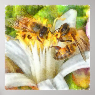 Honigbienen auf Lemon Blossom Wasserfarben Kunst Poster
