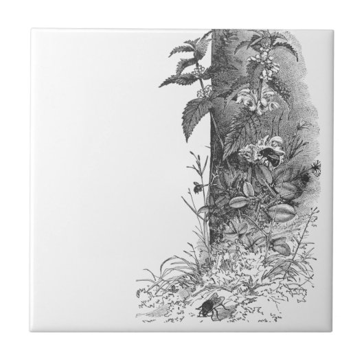 Honigbienen frequentieren blühende Minze Fliese (Vorderseite)