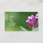 Honigbienen-Hafen-Visitenkarte Visitenkarte (Rückseite)