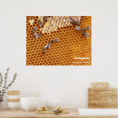 Honigbienen im Bienenposter Poster (Küche)