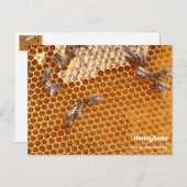 Honigbienen in der Bienenpostkarte Postkarte (Vorne/Hinten)