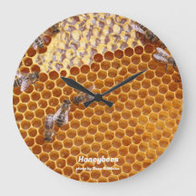 Honigbienen in der Bienenvölkeruhr