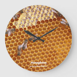 Honigbienen in der Bienenvölkeruhr Große Wanduhr