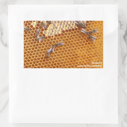 Honigbienen in einem Bienenstock Rechteckiger Aufkleber (Tasche)
