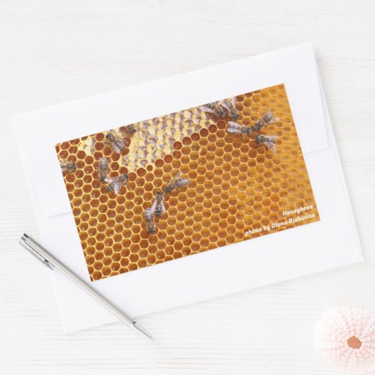 Honigbienen in einem Bienenstock Rechteckiger Aufkleber (Umschlag)