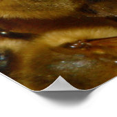 Honigbienen in Hive mit Königin in der Mitte Poster (Ecke)