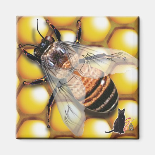 Honigbienen-Magnet Magnet (Vorne)