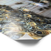 Honigbienen mit Händen Fotodruck (Ecke)