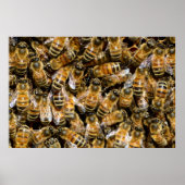Honigbienen Poster (Vorne)