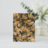 Honigbienen Postkarte (Stehend Vorderseite)