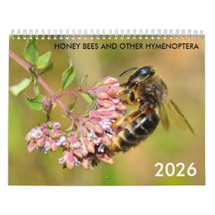 Honigbienen und andere Hymenoptera-Kalender Kalender