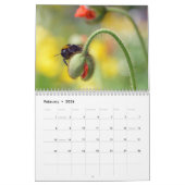 Honigbienen und andere Hymenoptera-Kalender Kalender (Feb 2026)