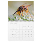 Honigbienen und andere Hymenoptera-Kalender Kalender (Jan 2026)