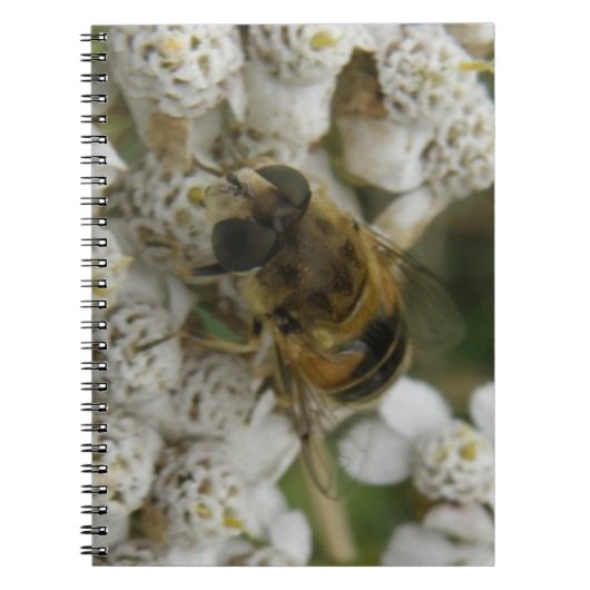 Honigbienen und Blume-Notebook Notizblock (Vorderseite)