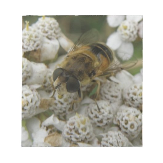 Honigbienen und Blume Notepad Notizblock (Vorderseite)