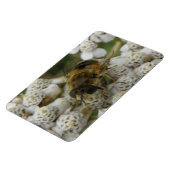 Honigbienen und Blume Premium Magnet (Linke Seite)